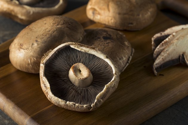 Raw Portobello Mushroom Caps meat substitutes