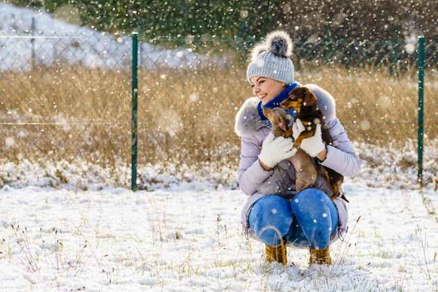 Woman playing with dogs during winter