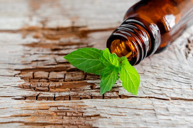 Small glass bottle on an old wooden background and fresh mint leaves, close up. Aromatherapy and spa ingredientes.