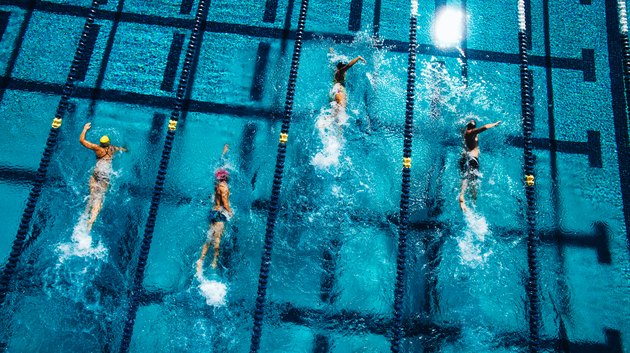 Overhead view of swimmers in pool