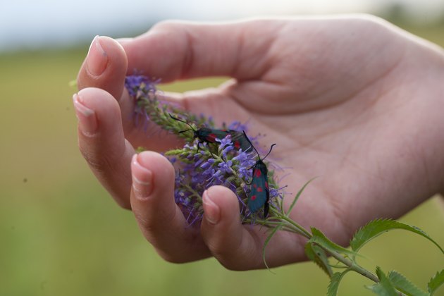Girl holding a flower with ridges on her fingernails