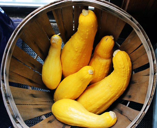 How to Cook Yellow Squash in the Oven