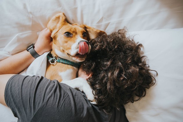 High Angle View Of Man With Dog On Bed