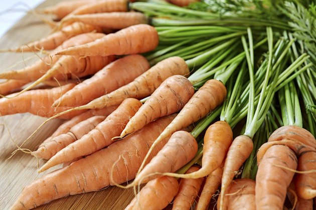 Freshly Picked Bunch of Carrots