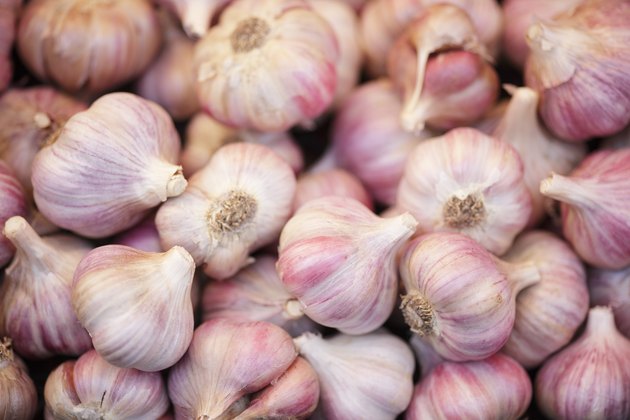 raw garlic bulbs