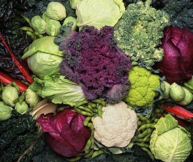 十字花科蔬菜，包括花椰菜，花椰菜和卷心菜