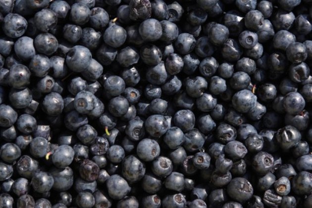 Carb Count in Blueberries | Livestrong.com