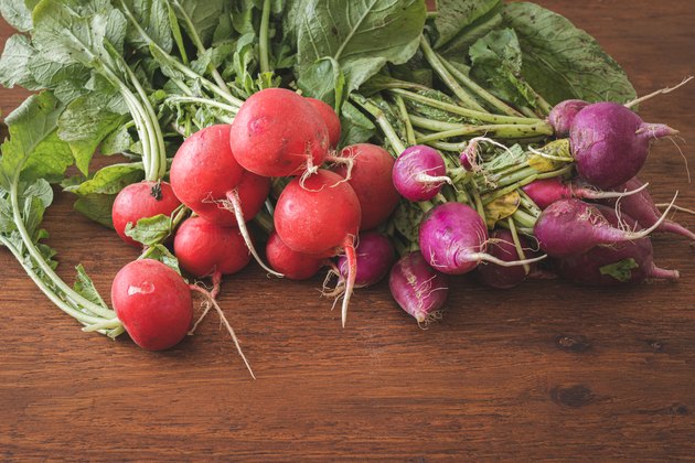 Fresh red and purple radishes on wooden table. Two varieties of radishes. Close up view of raw and homegrown radish with leaves