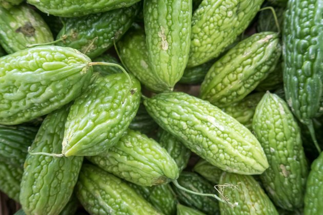 Fresh green mini bitter gourd (goya) or bitter melon