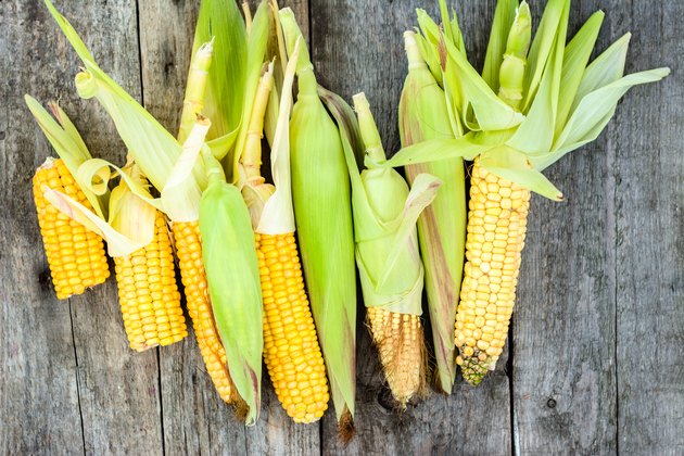 Fresh corn on rustic wooden boards, farmer vegetables harvested for local market, from above