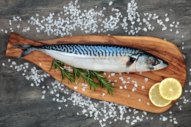 Can You Eat Mackerel Fish When Pregnant