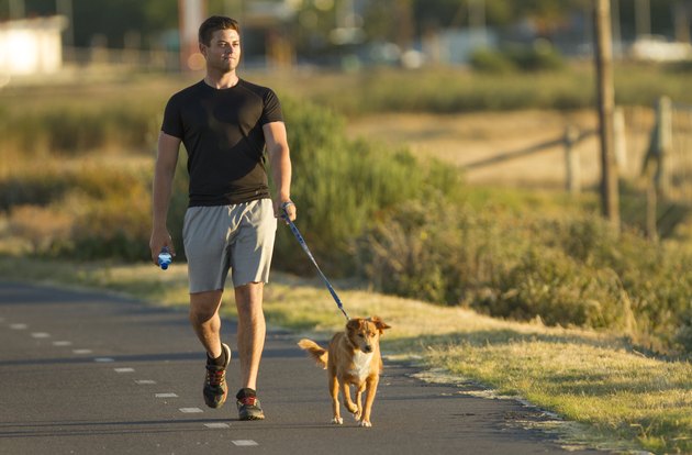 man burning calories walking for an hour with dog