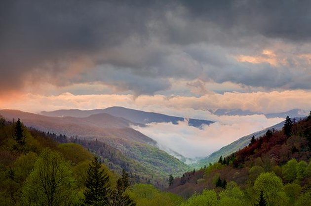 Great Smoky Mountains National Park, NC