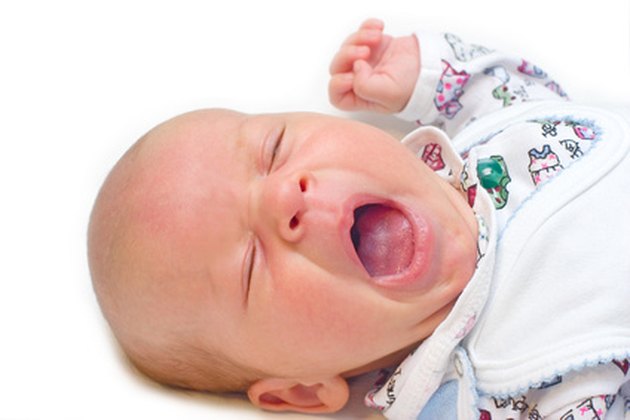 newborn
