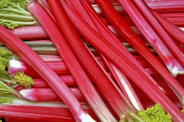 rhubarb