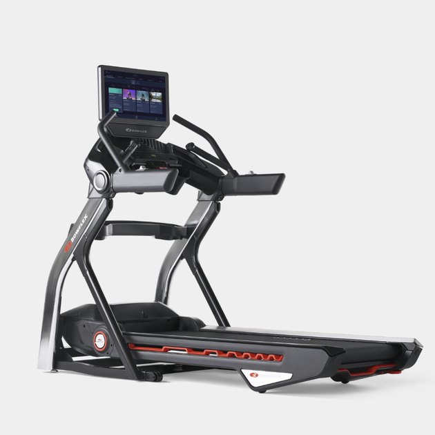 The 7 Best Treadmills for Dogs of 2024