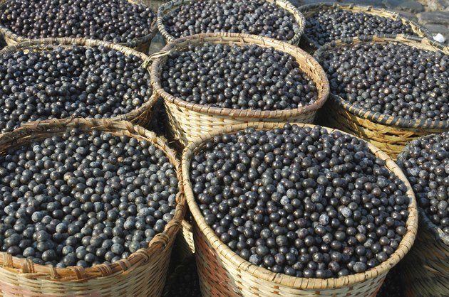 Acai Fruit Harvest and Market