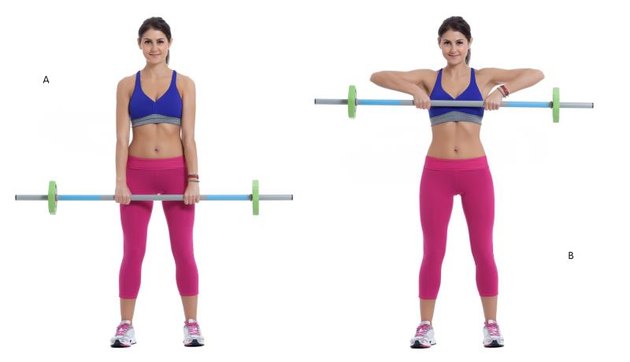 Step by step instructions: Stand up and hold the barbell with your hands in front of your thighs, hands at a medium-grip position, palms facing backwards. (A) Raise the barbell until it reaches the top of your chest and lower it back down slowly. (B)