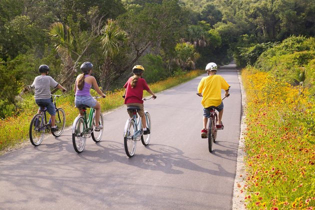 Rear view of four kids riding bicycles on a small road away from the viewer