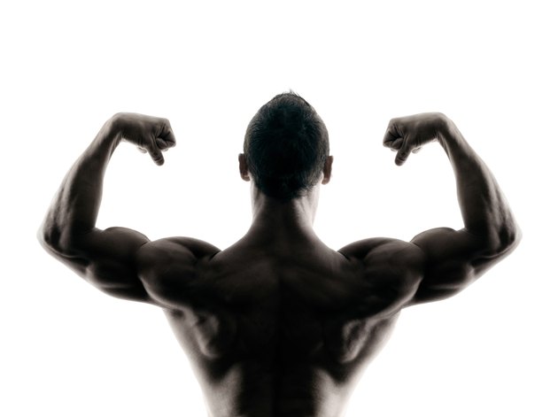 body buiding man isolated