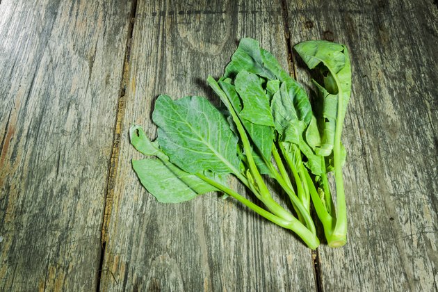 Sapling green kale on old wood background