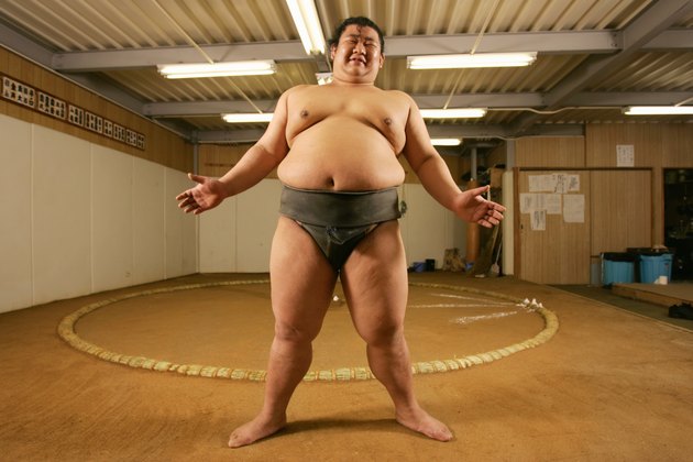 Young sumo wrestler in gymnasium, portrait