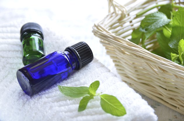 essential oils with mint