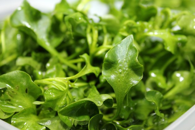 新鲜Watercress