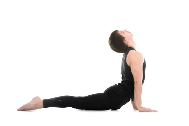 Profile of sporty young man working out, doing exercises for flexible spine, yoga asana from Surya Namaskar, Sun Salutation complex on white background