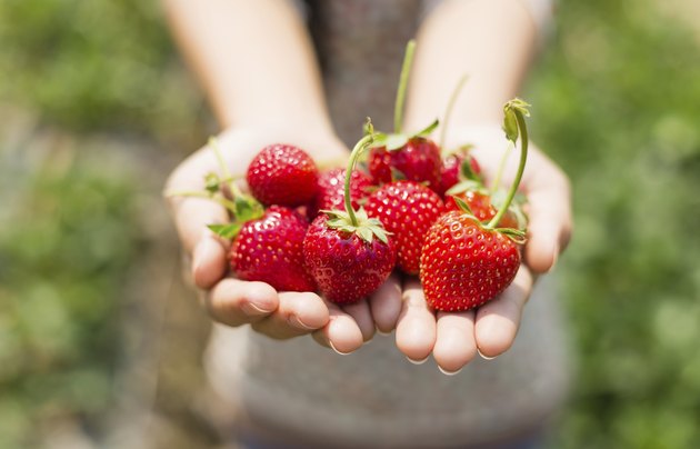 strawberry on woman hands