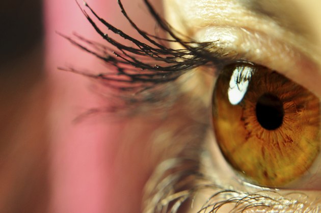 beautiful brown eye behind lush lashes