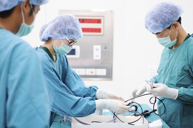 veterinarian doctor in operation room