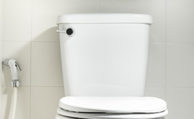 Toilet bowl