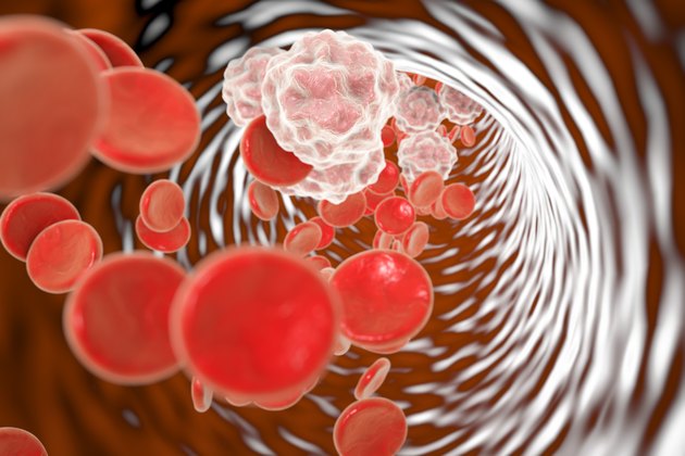 Blood in patient with inflammation