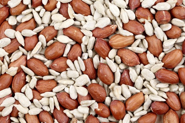 Close ip of peanuts and sunflower seeds.