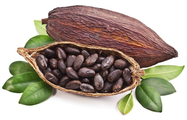 Cocoa pod