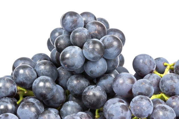 Bunches of Purple Grapes Isolated on White