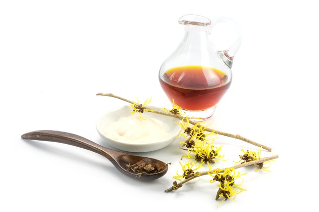 flowering witch hazel (Hamamelis), dried leaves, cream, essence
