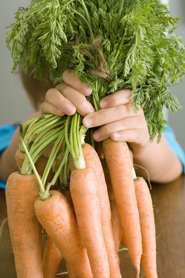 Hands holding carrots