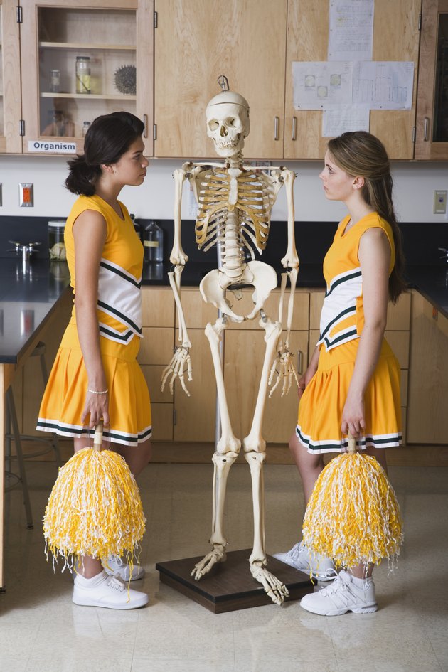 Cheerleaders standing face to face with human skeleton in classroom