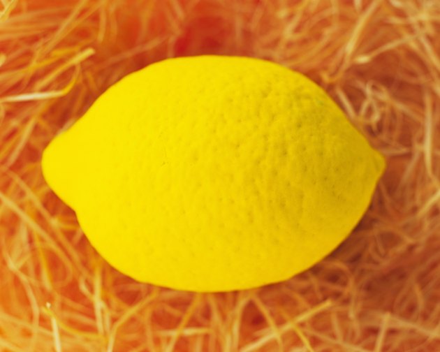 Clay Craft, Lemon, Close Up