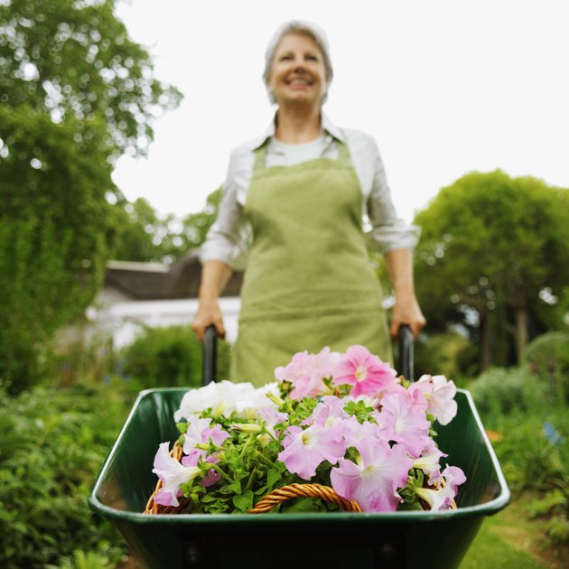 Front view of woman pushing wheelbarrow in garden