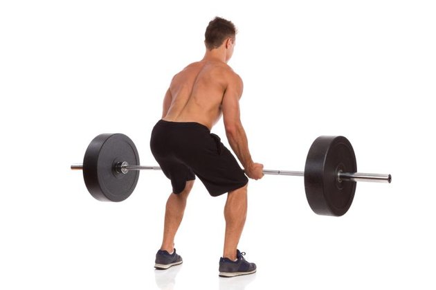 Muscular man showing a barbell row exercise, rear view. Full length studio shot isolated on white.