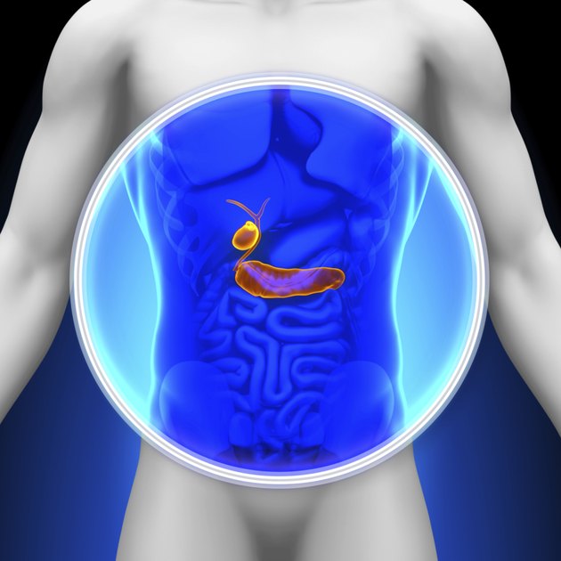 Medical X-Ray Scan - Gallbladder Pancreas