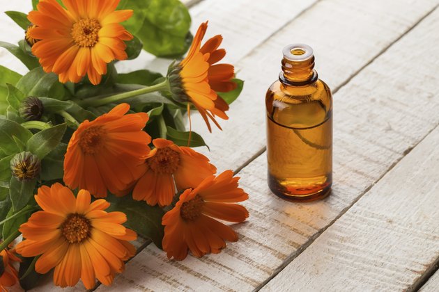 Essential aroma oil from calendula