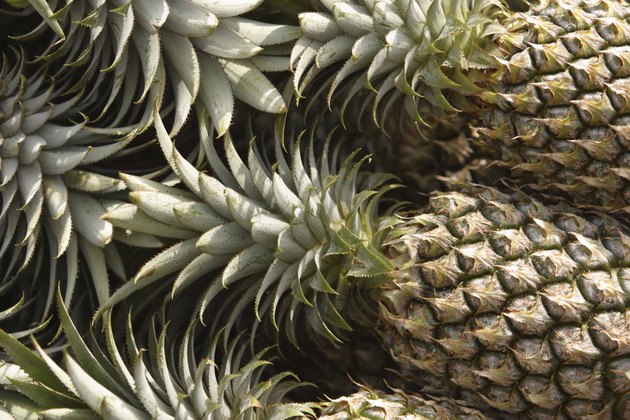 Pineapples