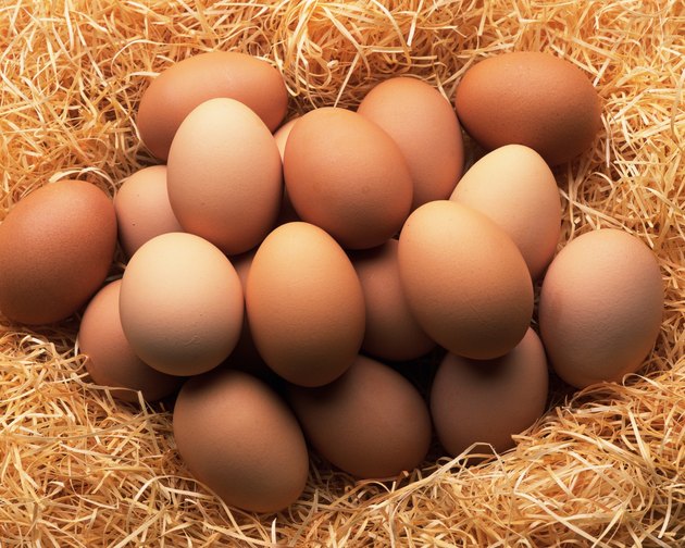 Mass of Brown Eggs, Close Up
