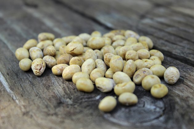 Soybean
