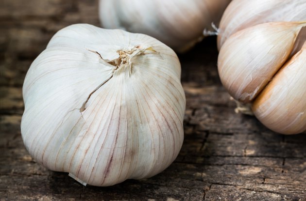 Close up. Still life with garlic on wooden background