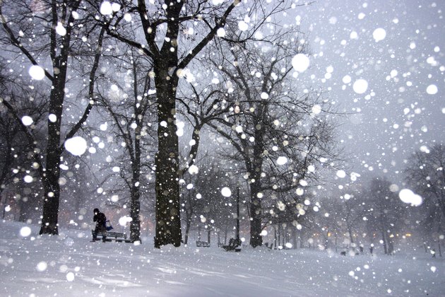 Boston Winter